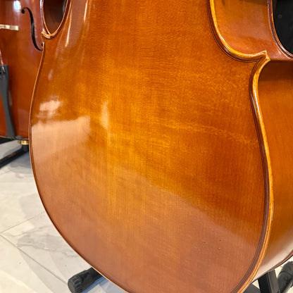 Eastman VC100: Student Cello - 4/4