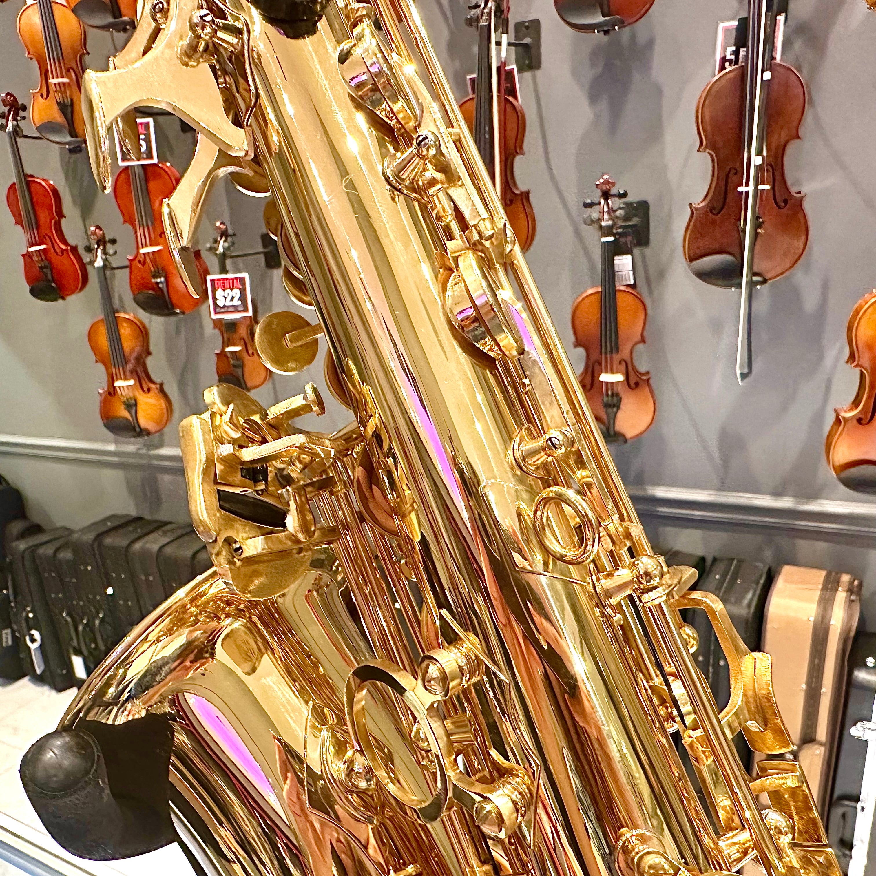 Opal OAS-100: Student Alto Saxophone, Gold Lacquered