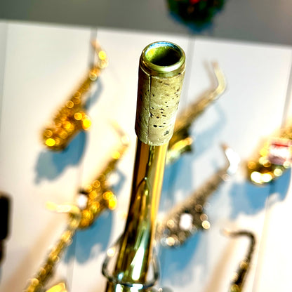 Opal OAS-200: Student Alto Saxophone, Two-Tone (used)