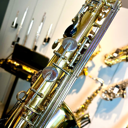 Opal OAS-200: Student Alto Saxophone, Two-Tone (used)