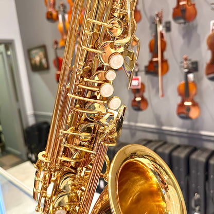 Opal OAS-100: Student Alto Saxophone, Gold Lacquered