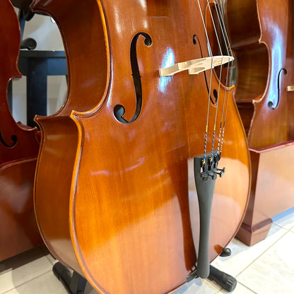 Eastman VC100: Student Cello - 4/4