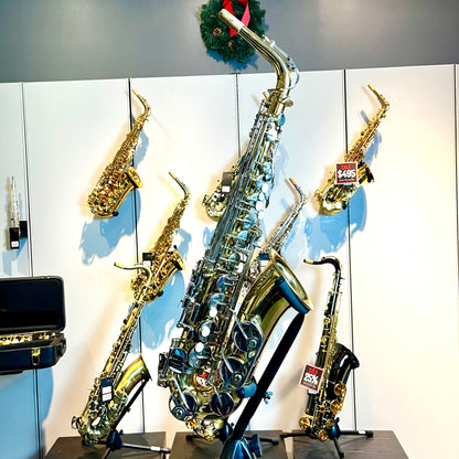 Opal OAS-200: Student Alto Saxophone, Two-Tone (used)