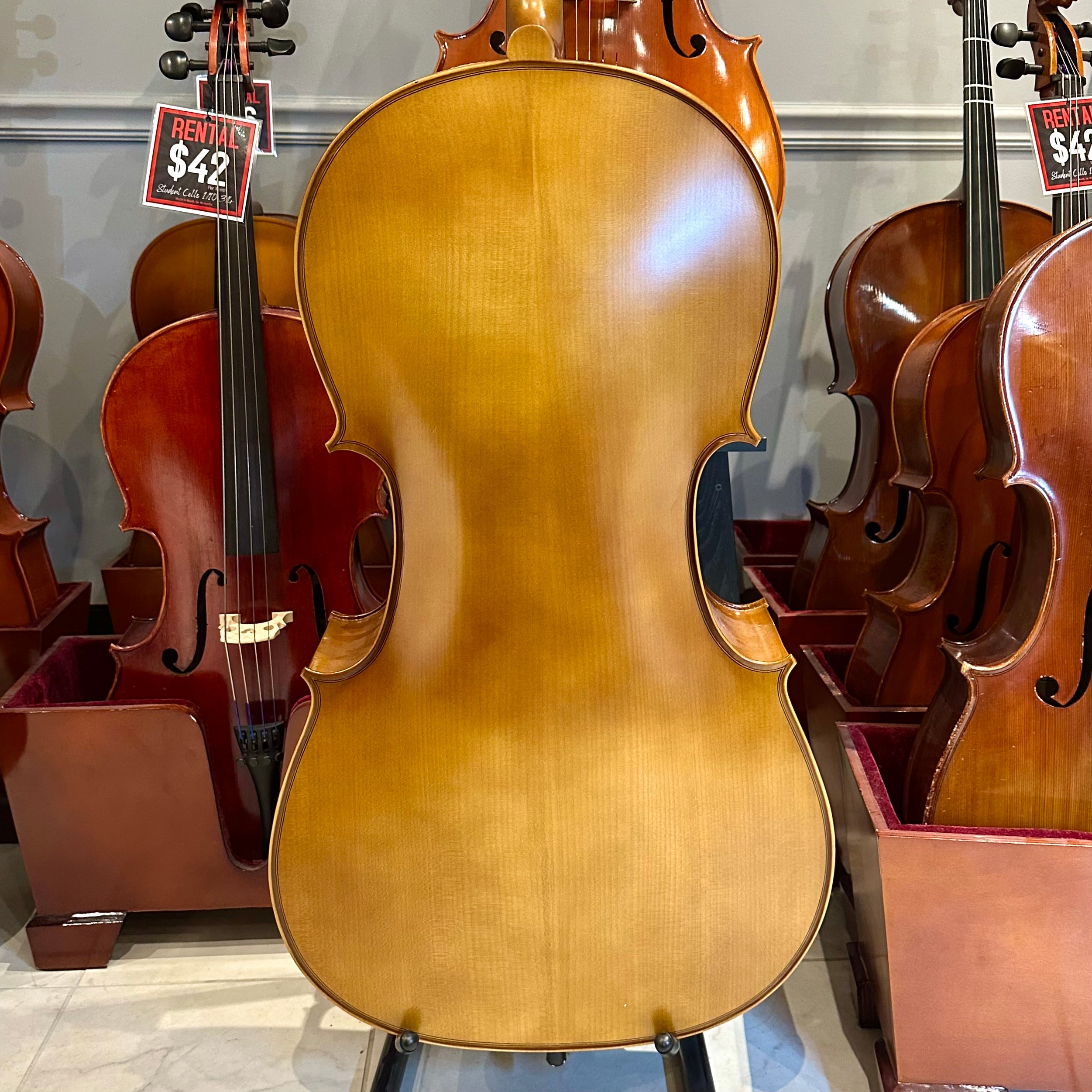 Strumenti a Corde 205-10: Student Cello, Solid, Matte, 4/4