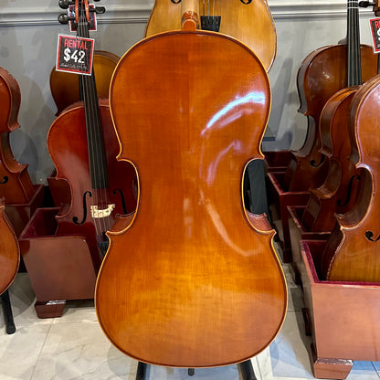 Eastman VC100: Student Cello - 4/4