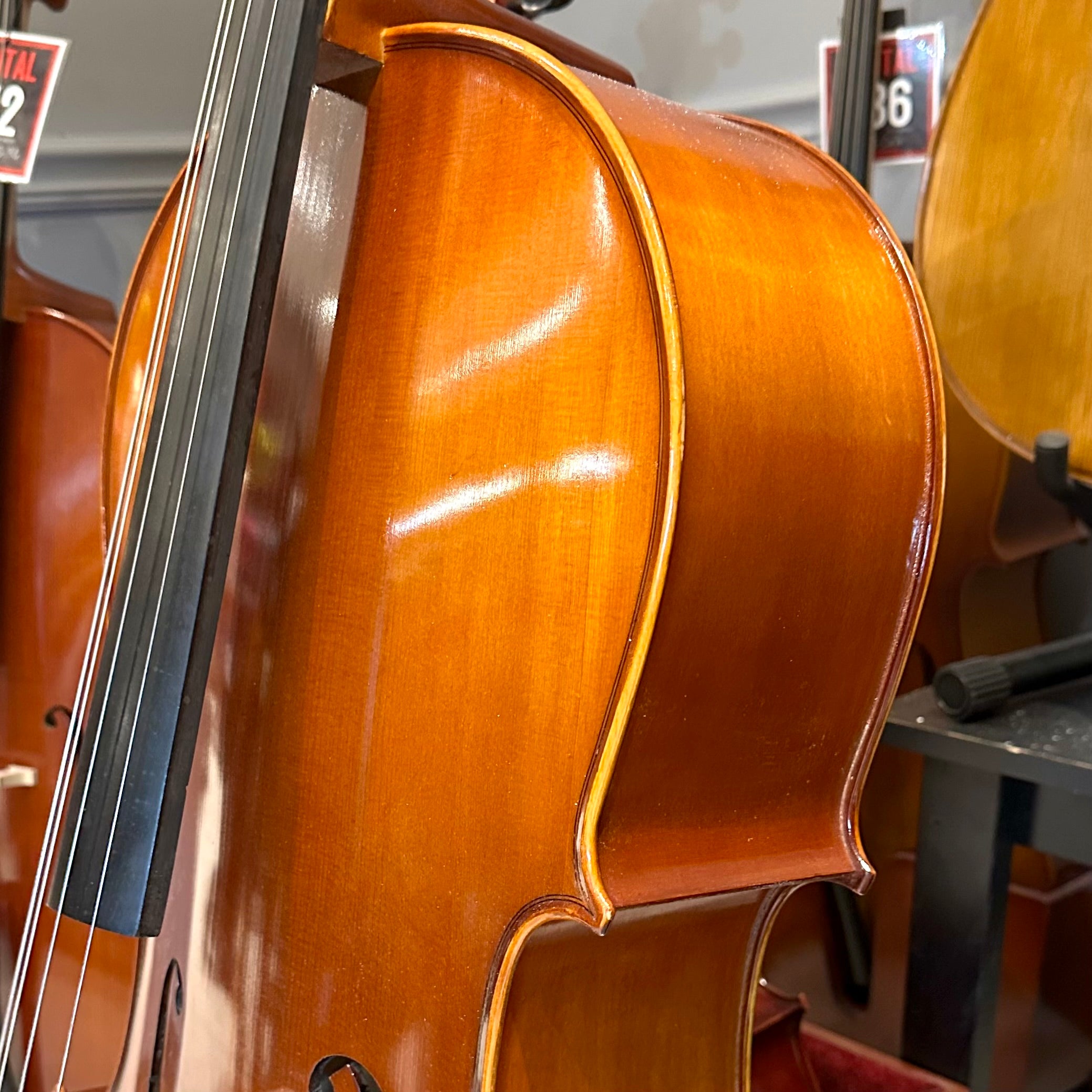 Eastman VC100: Student Cello - 4/4