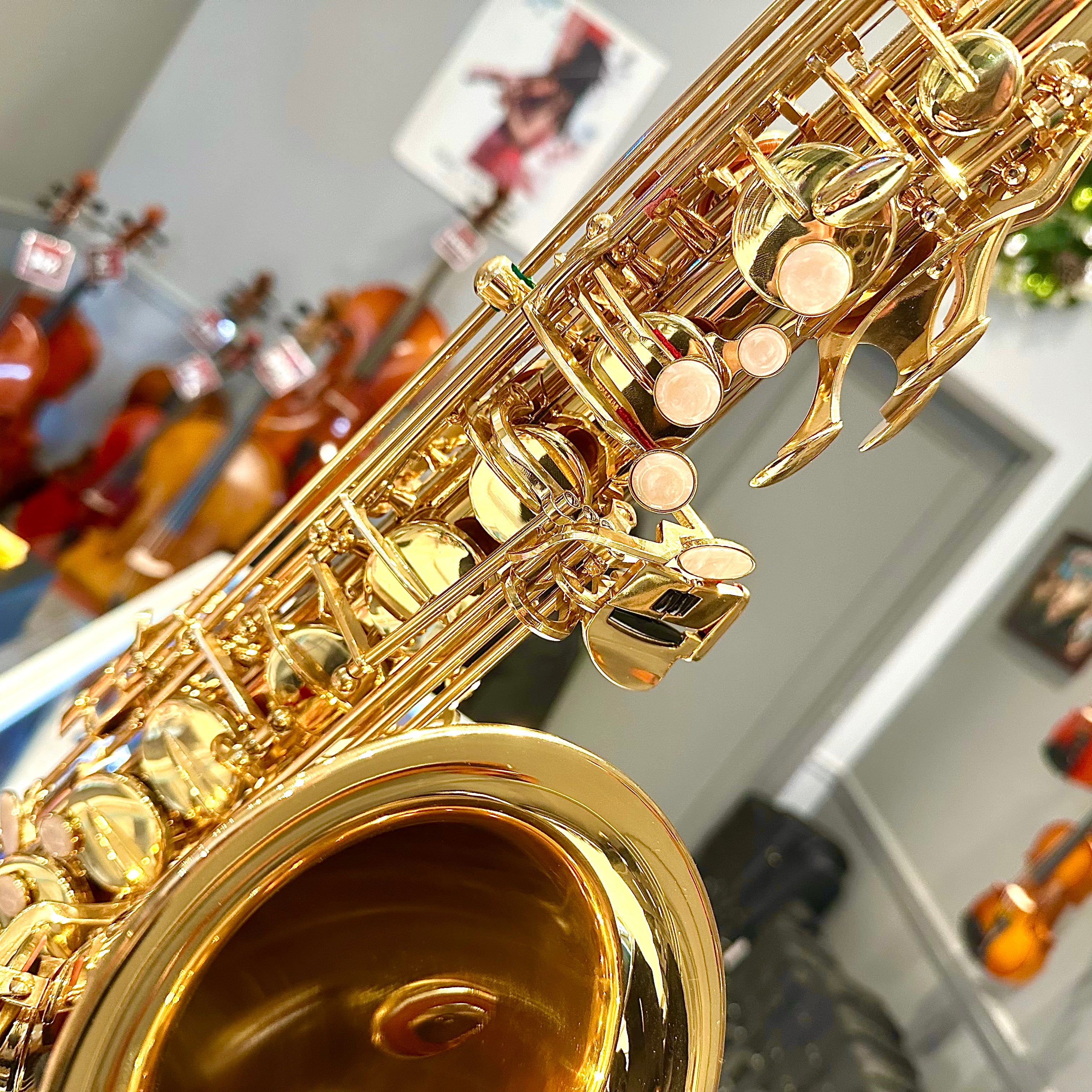 Fugue F85g: Student Tenor Saxophone, Gold Lacquered