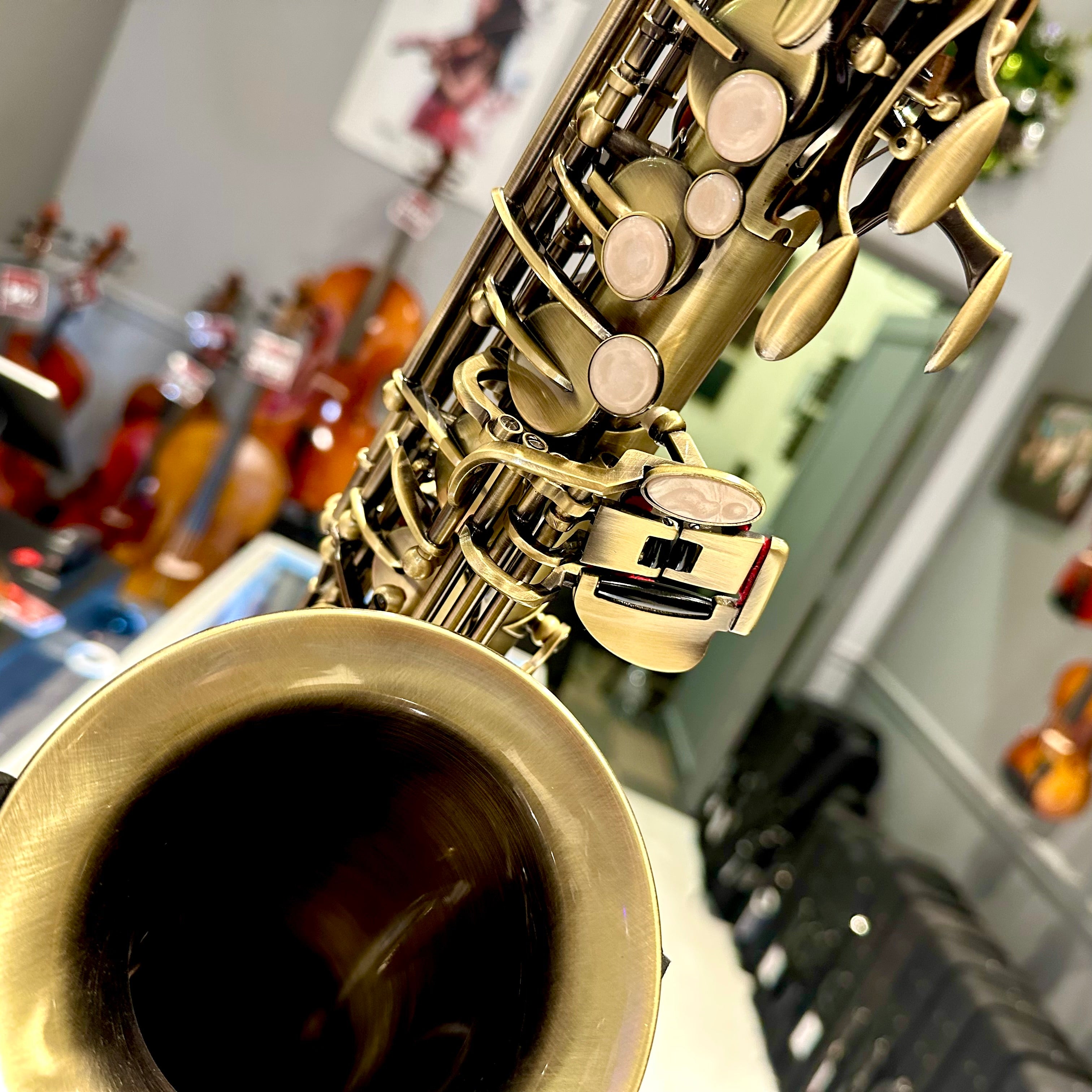 Fugue Custom Z-30ii: Intermediate Alto Saxophone, Glossy Antique