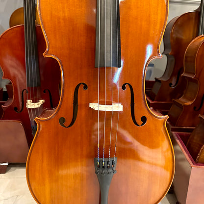 Eastman VC100: Student Cello - 4/4