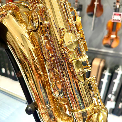 Opal OAS-100: Student Alto Saxophone, Gold Lacquered