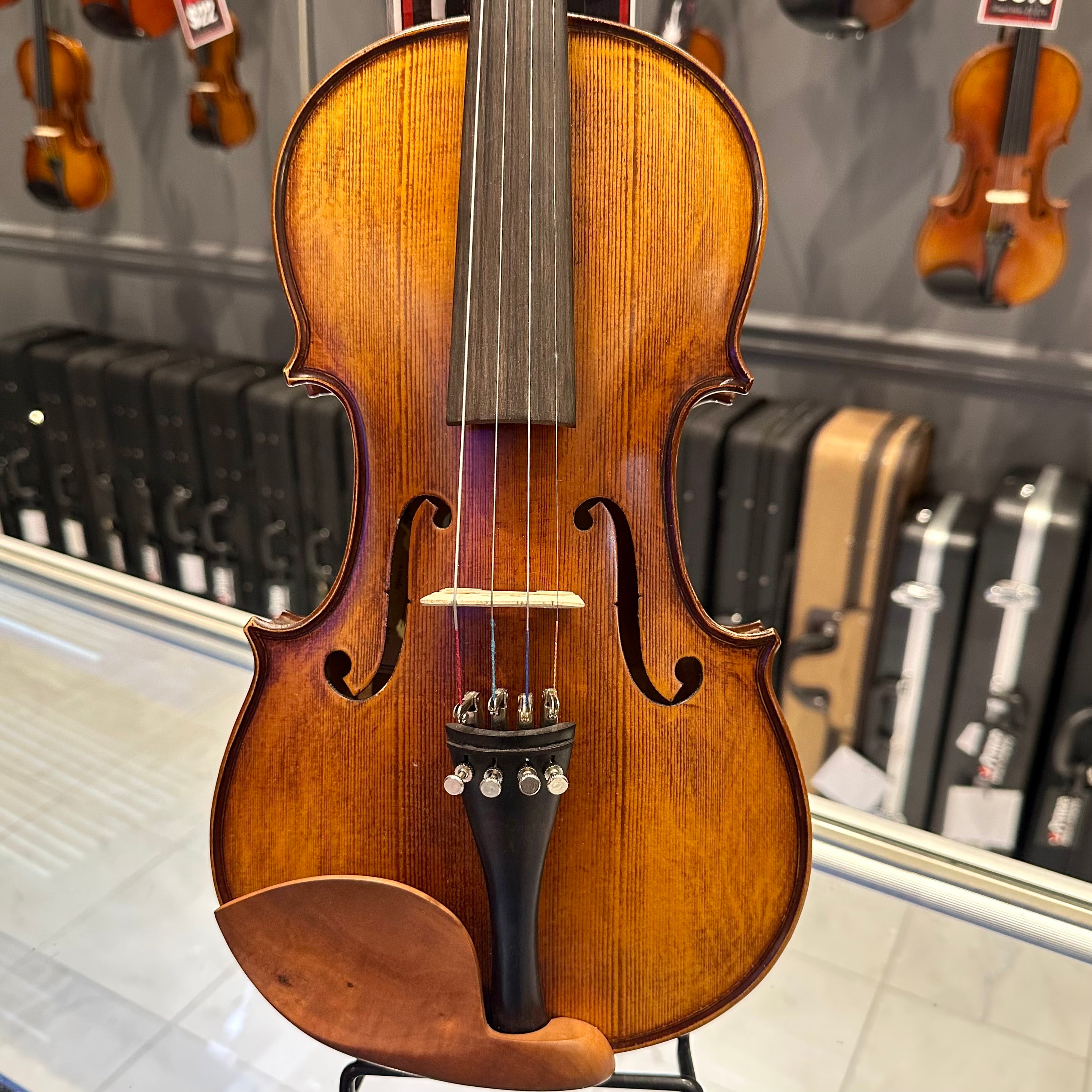 Strumenti a Corde 4100: Intermediate Violin