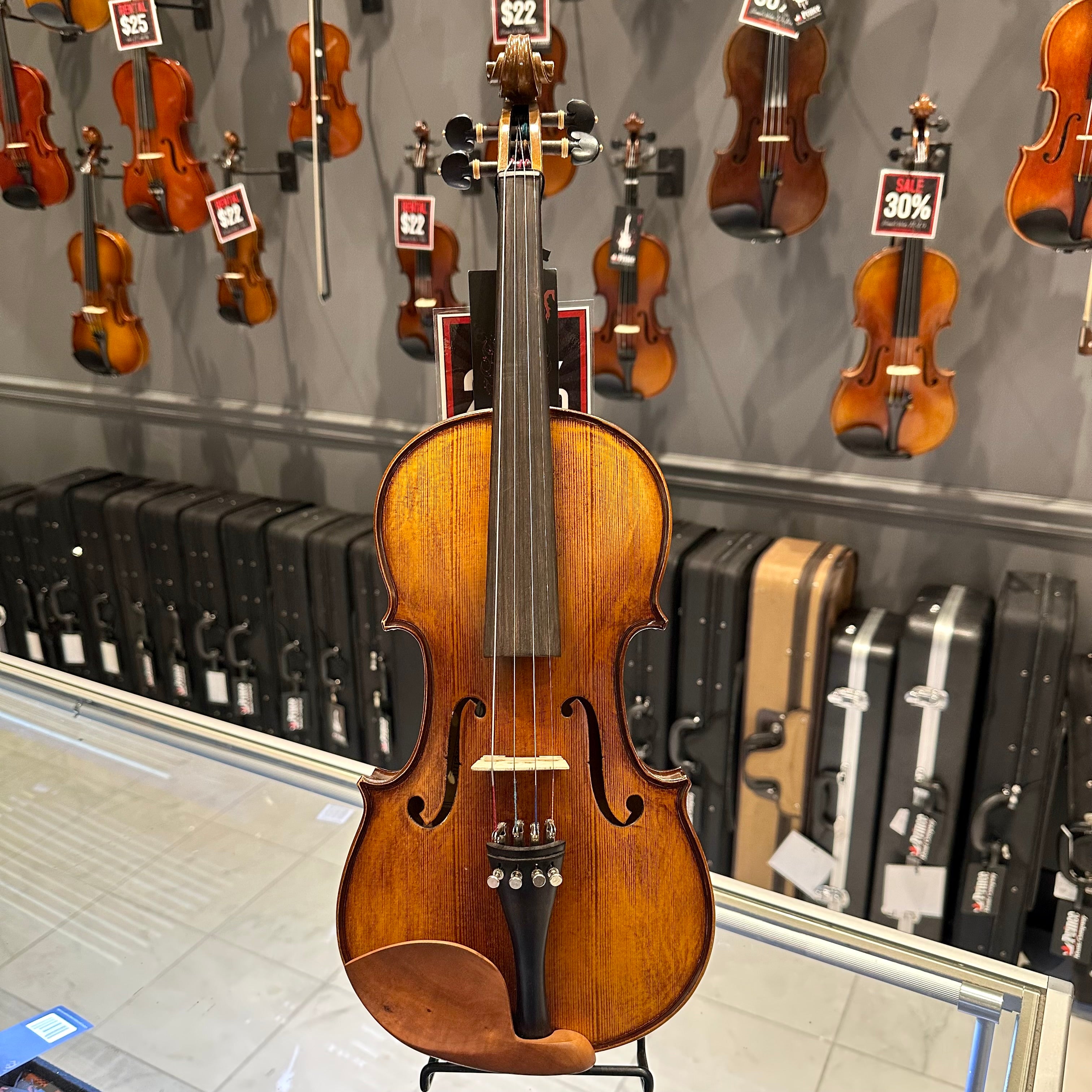 Strumenti a Corde 4100: Intermediate Violin