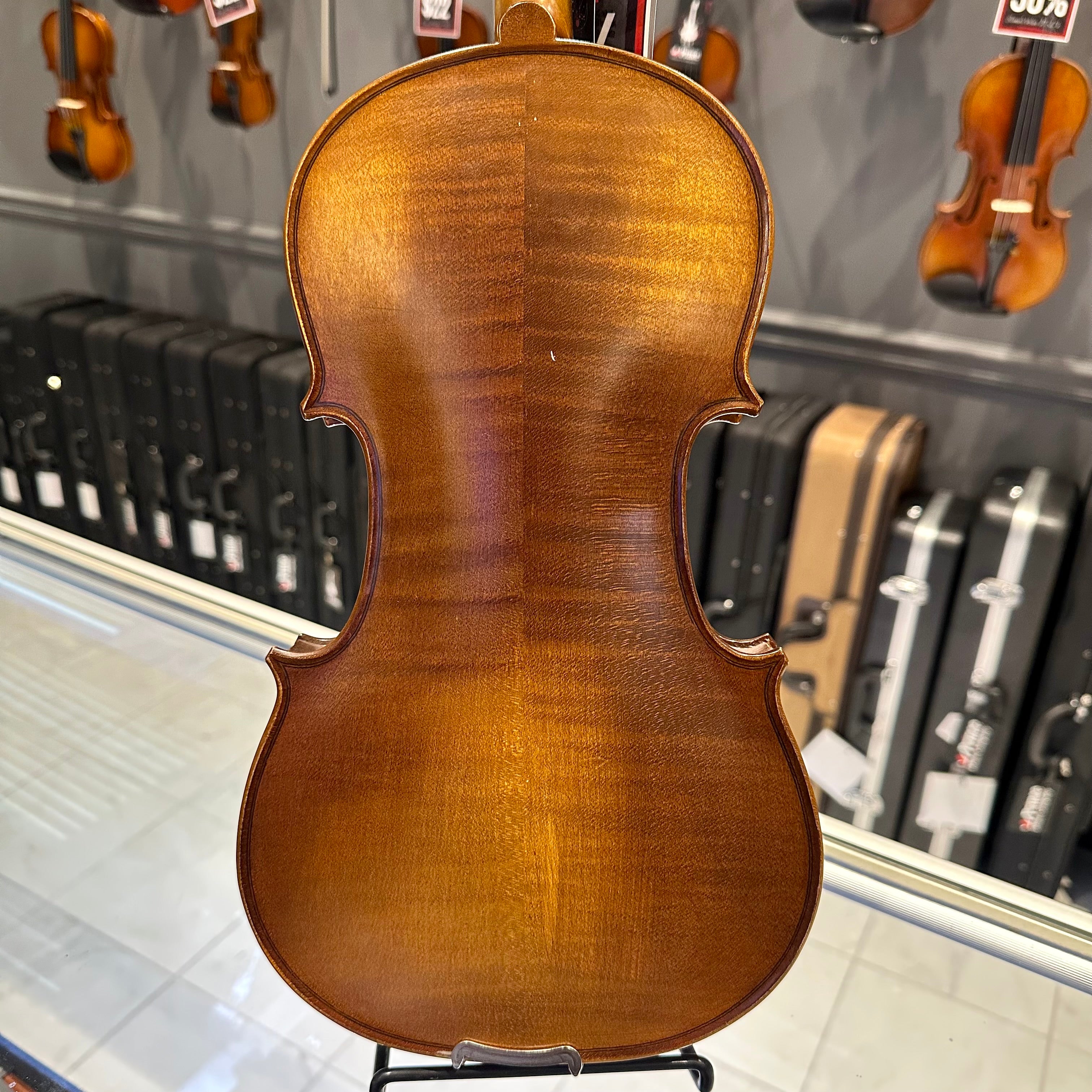 Strumenti a Corde 4100: Intermediate Violin