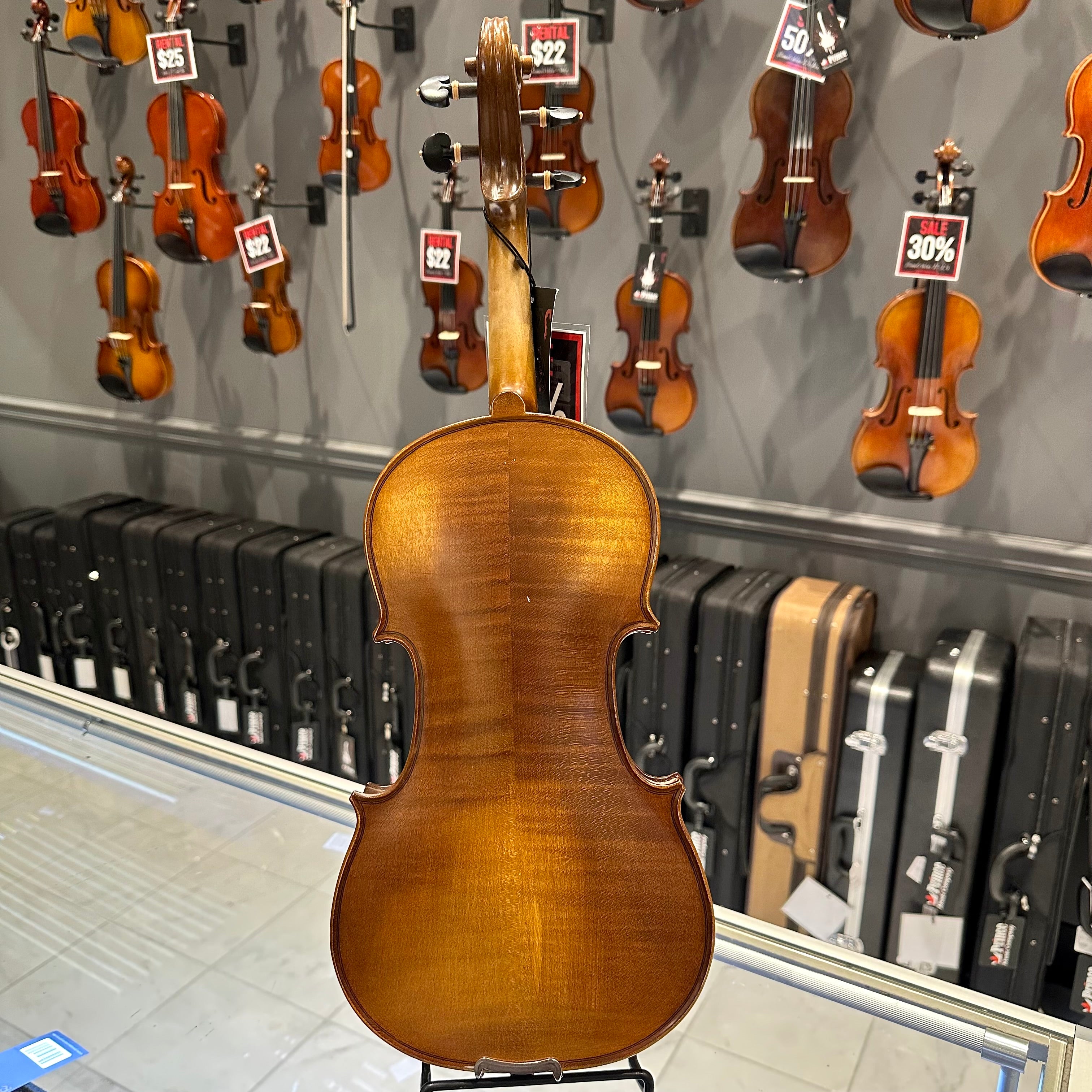 Strumenti a Corde 4100: Intermediate Violin