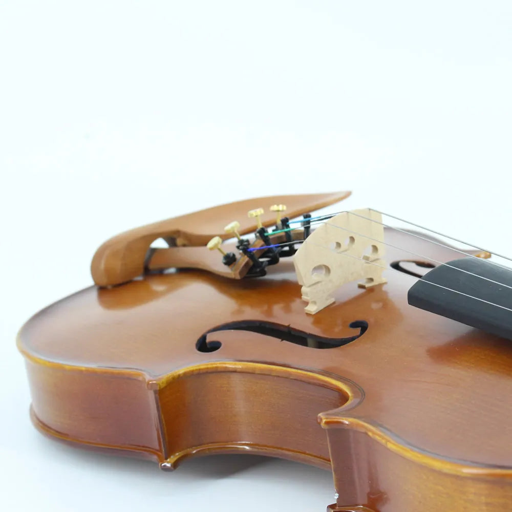 Strumenti a corde: 3000 - Student Viola, Hand Carved, Juju Wood Parts